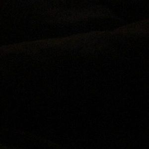 Meet your Posher, Ddorothy